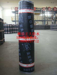 濰坊廠家供應(yīng)圣龍牌SBS防水卷材 高品質(zhì)聚酯胎材料助力河南建筑防水